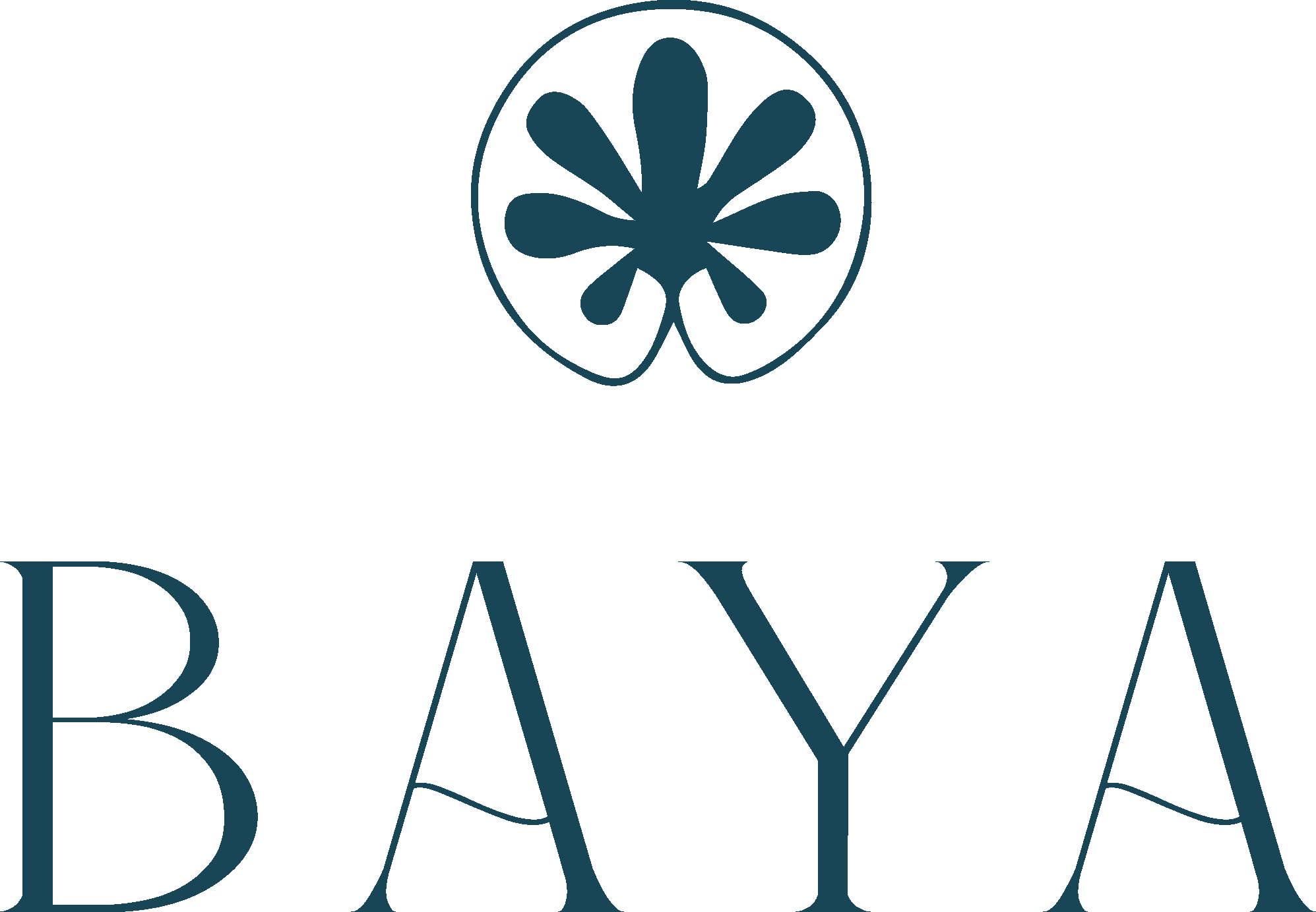 BAYA HOTEL CAPBRETON BAYA HOTEL CAPBRETON